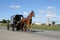 Amish Horse Drawn Carriage