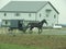 Amish horse driven buggy