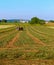 Amish man and a team of four horses plow an alfalfa field