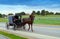 Amish People in Horse and Buggy