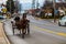 Amish Two Wheel in Intercourse Village