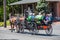 Amish Wagon with two horses