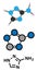 Amitrol (3-Amino-1,2,4-triazole, 3-AT) herbicide molecule