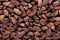 Amla dry seed (Phyllanthus emblica)