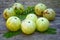 Amla, emblic or indian gooseberry (Phyllanthus emblica), Phyllanthaceae. Edible Asian fruit. Cultivated tree