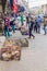 AMMAN, JORDAN - MARCH 23, 2017: Live animals market stall in Amm