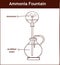 Ammonia fountain experiment to demonstrate the solubility of ammonia gas. Fully labelled diagram