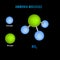 Ammonia molecule 3D structure, chemistry