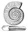 Ammonite bifrons, vintage illustration