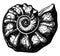 Ammonite, vintage illustration