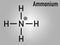 Ammonium cation skeletal formula. Protonated form of ammonia.