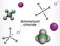 Ammonium chloride, NH4Cl molecule. It is inorganic compound, food supplement E510, used as fertilizer and a flavouring agent.