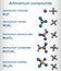 Ammonium compounds: ammonium bicarbonate, ammonium carbamate, ammonium sulfate, ammonium nitrate, ammonium chloride molecule.