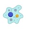 Amoeba cell. Small unicellular animal. Virus and bacteria.