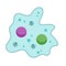 Amoeba cell. Small unicellular animal. Virus and bacteria.