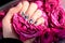 AMOR word on nails manicure hold Pink rose flower. Minimal flat lay nature. Female hand. Love