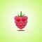 Amorous cartoon raspberries symbol. Cute smiling raspberries icon isolated on green background