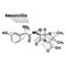 Amoxicillin, antibiotic drug, Structural chemical formula