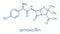 Amoxicillin beta-lactam antibiotic drug molecule. Skeletal formula.