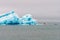 Amphibian vehicle with tourists in Jokulsarlon/Fjallsarlon glacier lagoon by the foot of Vatnajokull volcano. Big blue melting ice