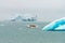 Amphibian vehicle with tourists in Jokulsarlon/Fjallsarlon glacier lagoon by the foot of Vatnajokull volcano. Big blue melting ice