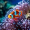 Amphiprion ocellaris clownfish in marine aquarium. AI Generative