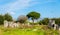 The Amphitheater of Capua, the second biggest roman amphitheater