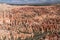 Amphitheater reddish fairy chimneys Bryce Canyon