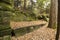 Amphitheater rocks of Ritchie Ledges in Cuyahoga Valley National Park