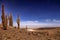 Amphitheater, valle de la Luna, Valley of the Moon, west of San Pedro, Atacama desert of Chile