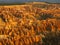 Amphitheater, view from Inspiration point at sunrise, Bryce Canyon National Park