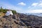 Amphitrite Point Lighthouse located in Ucluelet, Vancouver Island, BC