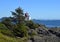 Amphitrite Point Lighthouse, Ucluelet BC