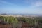 Ample views of the south-eastern coast of the island from a vantage point with lush endemic flora