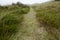 Amrum (Germany) - Path through grass-covered sand dunes