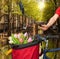 Amsterdam with basket of colorful tulips against canal in Holland