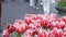 Amsterdam, Netherlands - April 21, 2019: Legs of a walking crowd of people against the background of beautiful pink and