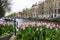 Amsterdam tulips: pink tulips in the foreground with a typical canal and architecture of Amsterdam, Netherlands