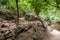 Amud Stream Nature Reserve in Northern Israel