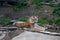 Amur tiger, Pantheran tigris atlaica, lying in the Creek resting on the background of greenery and trees. Wildlife, mammals