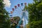 Amusement park ferris wheel, blue sky with clouds, green trees