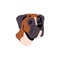 Amusing Boxer avatar. Cute bulldog muzzle. Adorable face of large breed dog. Funny mastiff puppy snout portrait