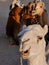 Amusing close up of camel`s face in the Sahara desert