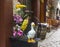 Amusing composition of toy birds, bicycle and artificial flowers