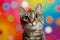 Amusing Feline Delightful Cat With Wideeyed Astonishment Against A Vibrant Backdrop