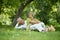 Amusing old couple on picnic