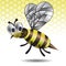 The amusing vector image of a bee