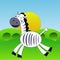 An amusing zebra hurries on a green grass