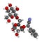 Amygdalin 3D rendering. Atoms are represented as spheres with conventional color coding: hydrogen white, carbon grey, oxygen