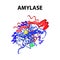 Amylase is a molecular chemical formula. Enzyme of the pancreas. Infographics. Vector illustration on isolated background